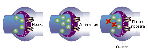 Как работают антидепрессанты?