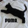 Музыка из рекламы Пума (Puma)